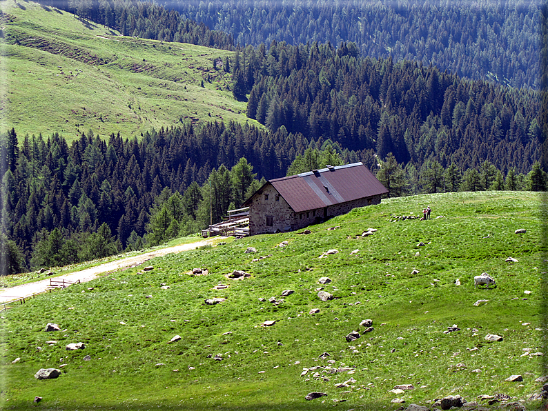 foto Malga Valsorda